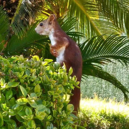 La Yuca 4* Ontinyent (Onteniente)
