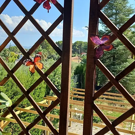 La Yuca Bed & Breakfast Ontinyent
